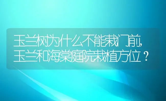 玉兰树为什么不能栽门前,玉兰和海棠庭院栽植方位？ | 养殖学堂