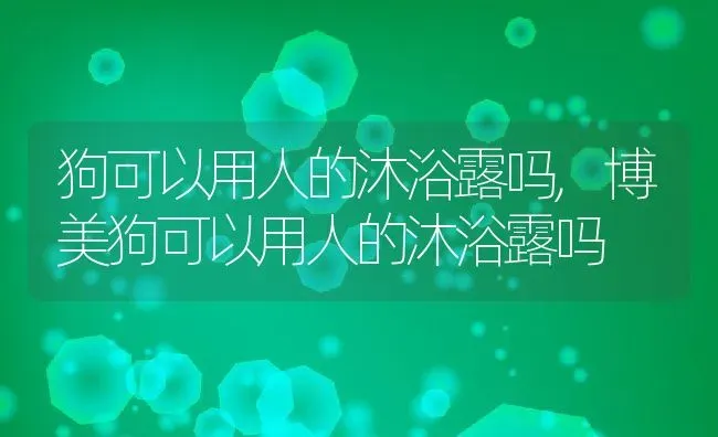 狗可以用人的沐浴露吗,博美狗可以用人的沐浴露吗 | 养殖科普