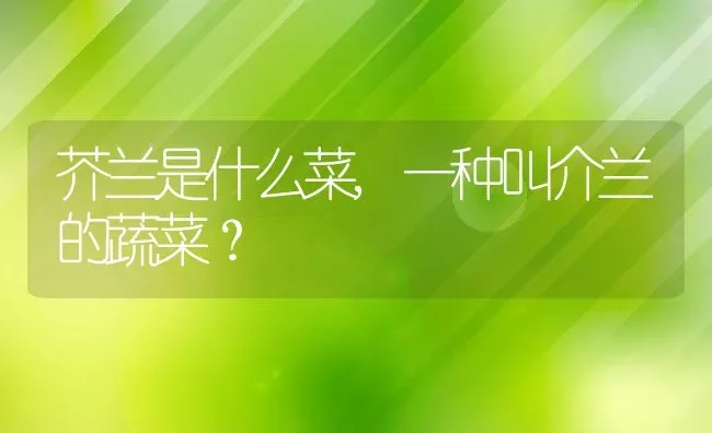 芥兰是什么菜,一种叫介兰的蔬菜？ | 养殖科普