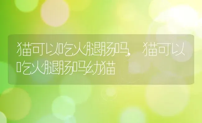 猫可以吃火腿肠吗,猫可以吃火腿肠吗幼猫 | 养殖资料
