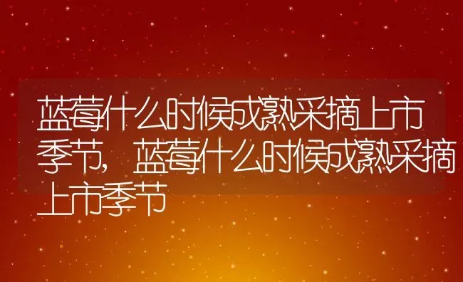 蓝莓什么时候成熟采摘上市季节,蓝莓什么时候成熟采摘上市季节 | 养殖科普