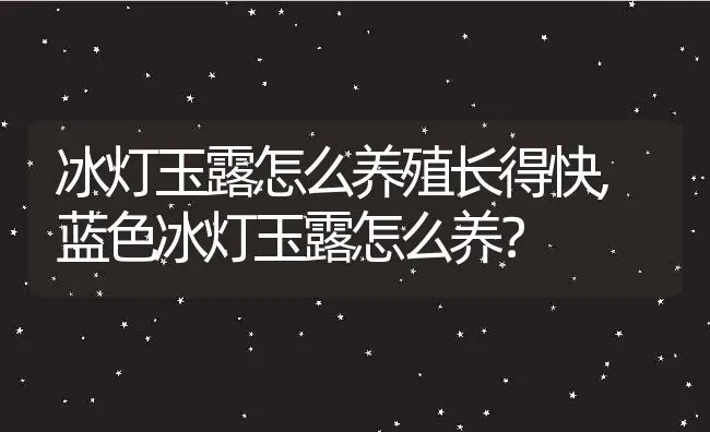 冰灯玉露怎么养殖长得快,蓝色冰灯玉露怎么养？ | 养殖科普