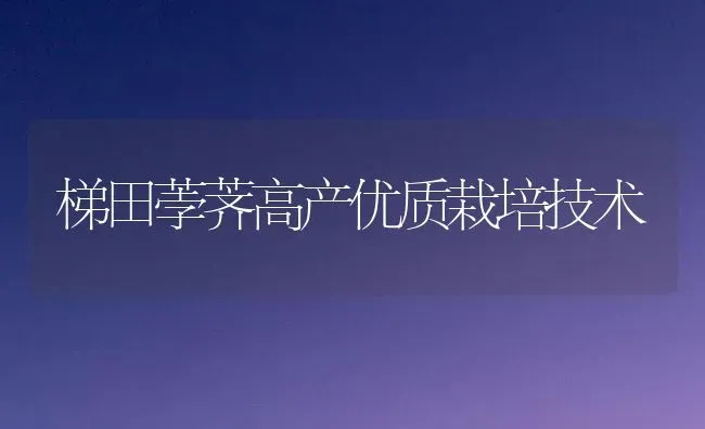 梯田荸荠高产优质栽培技术 | 养殖技术大全