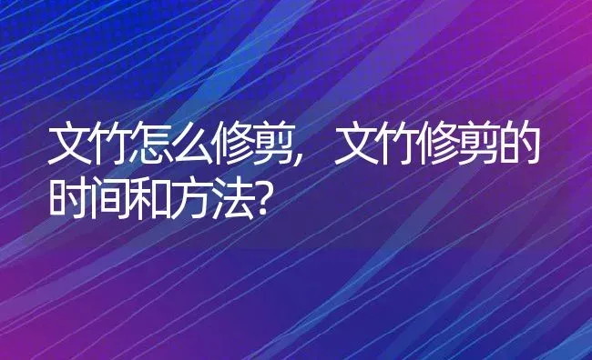 文竹怎么修剪,文竹修剪的时间和方法？ | 养殖科普