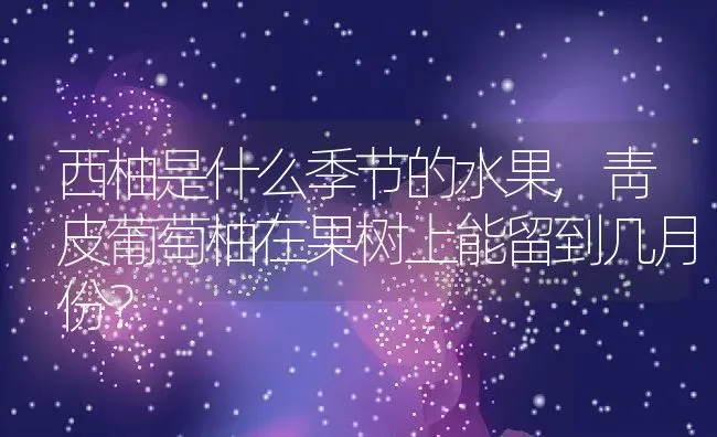 西柚是什么季节的水果,靑皮葡萄柚在果树上能留到几月份？ | 养殖科普