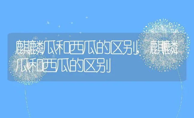 麒麟瓜和西瓜的区别,麒麟瓜和西瓜的区别 | 养殖科普