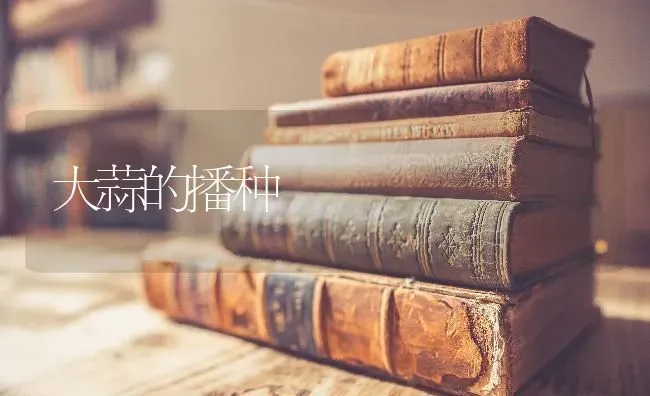 大蒜的播种 | 养殖技术大全