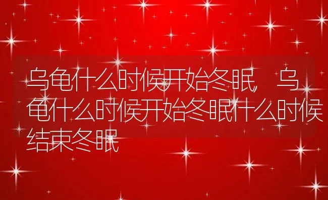 乌龟什么时候开始冬眠,乌龟什么时候开始冬眠什么时候结束冬眠 | 养殖资料