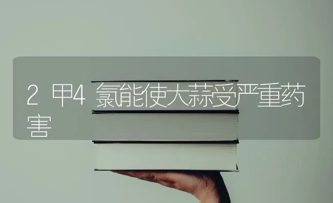 2甲4氯能使大蒜受严重药害 | 养殖知识