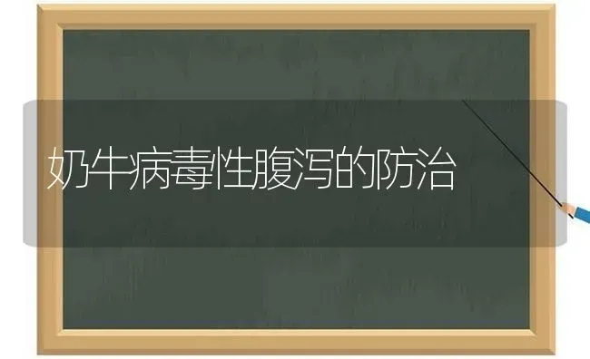 奶牛病毒性腹泻的防治 | 养殖知识