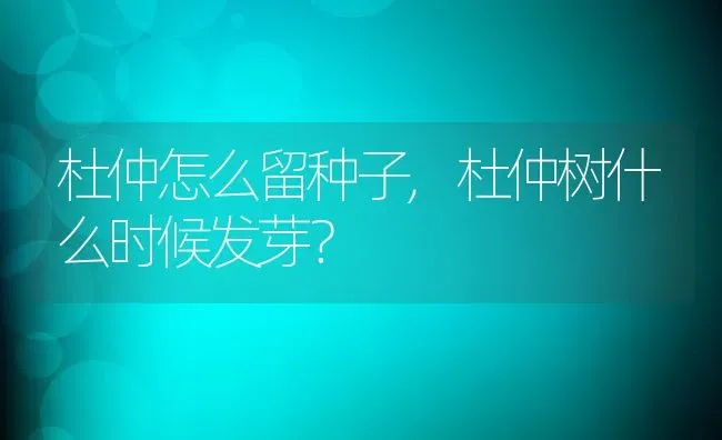 杜仲怎么留种子,杜仲树什么时候发芽？ | 养殖科普