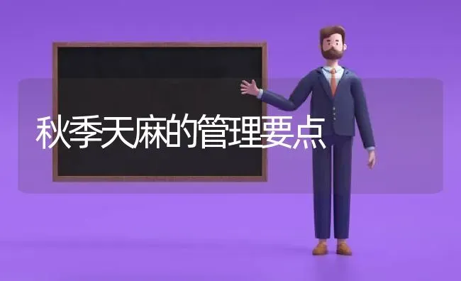 秋季天麻的管理要点 | 养殖知识