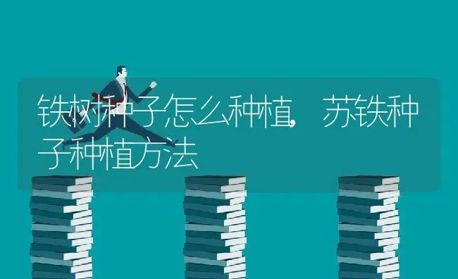 铁树种子怎么种植,苏铁种子种植方法 | 养殖学堂