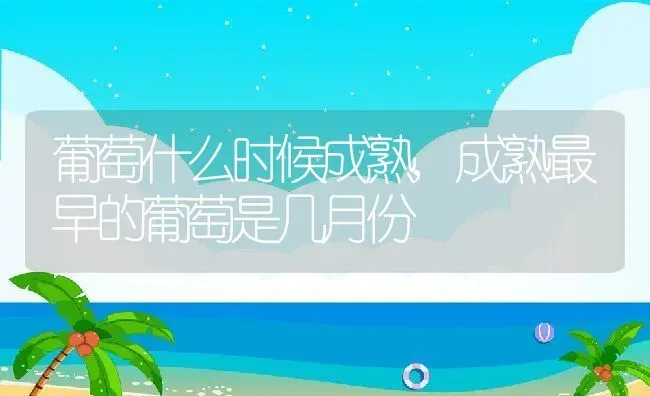 葡萄什么时候成熟,成熟最早的葡萄是几月份 | 养殖学堂