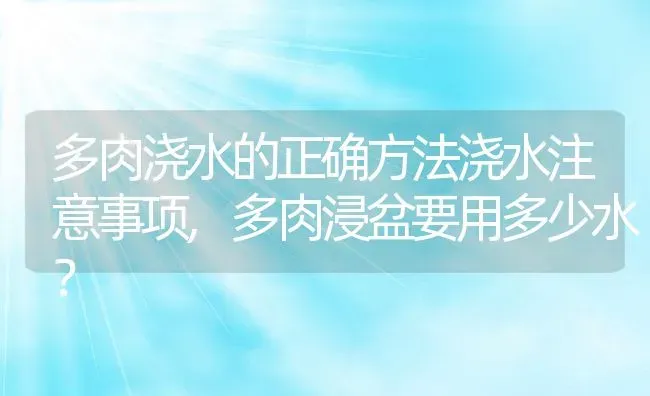 多肉浇水的正确方法浇水注意事项,多肉浸盆要用多少水？ | 养殖科普