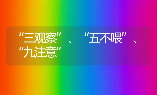 “三观察”、“五不喂”、“九注意” | 养殖技术大全