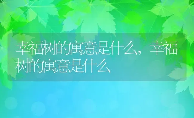 幸福树的寓意是什么,幸福树的寓意是什么 | 养殖科普