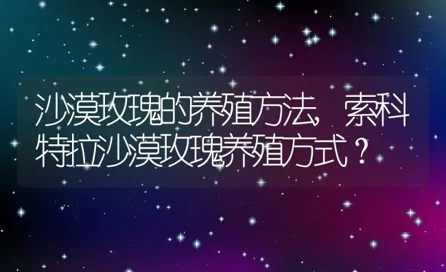 沙漠玫瑰的养殖方法,索科特拉沙漠玫瑰养殖方式？ | 养殖科普