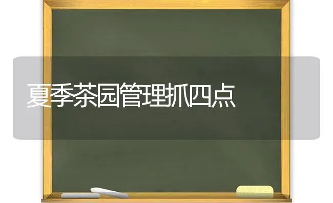 夏季茶园管理抓四点 | 养殖技术大全