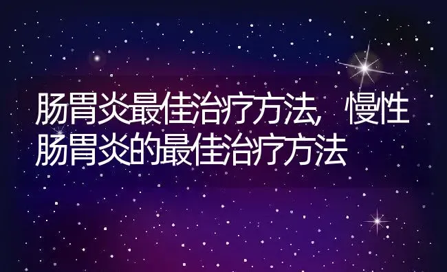 肠胃炎最佳治疗方法,慢性肠胃炎的最佳治疗方法 | 养殖科普