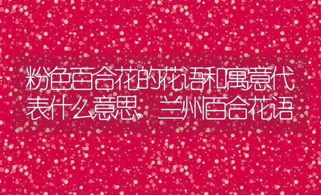 粉色百合花的花语和寓意代表什么意思,兰州百合花语 | 养殖学堂