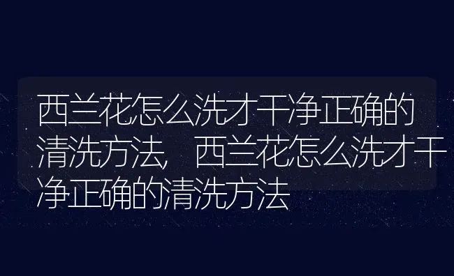 西兰花怎么洗才干净正确的清洗方法,西兰花怎么洗才干净正确的清洗方法 | 养殖科普