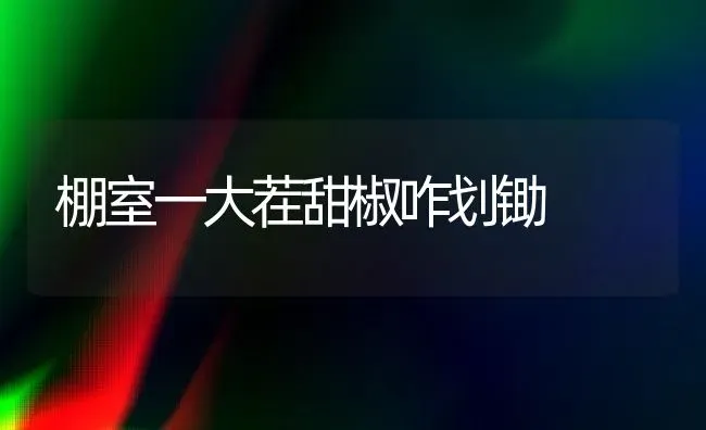 棚室一大茬甜椒咋划锄 | 养殖知识