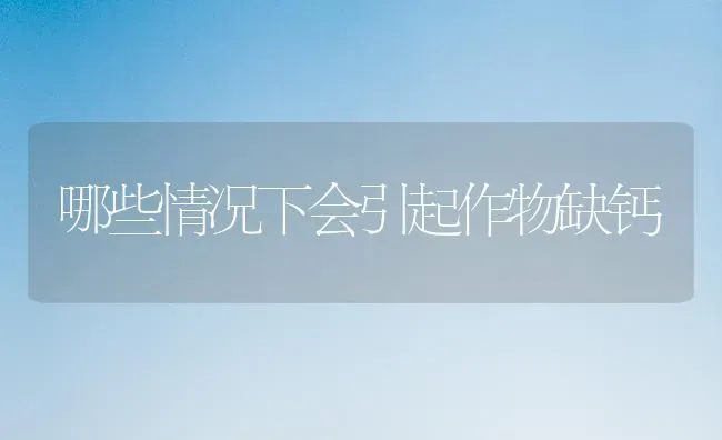 哪些情况下会引起作物缺钙 | 养殖技术大全