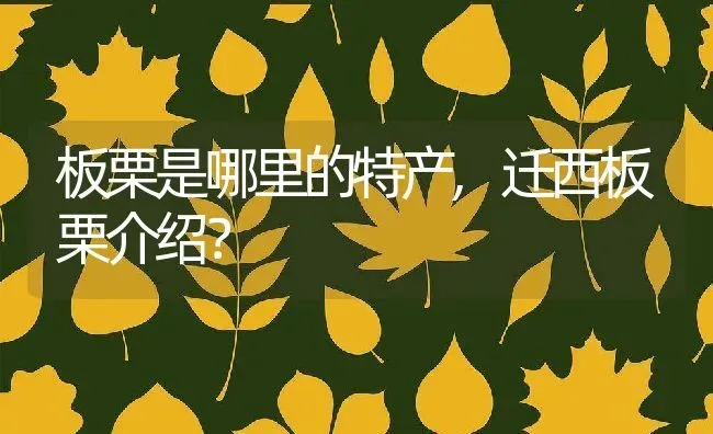 石榴是什么季节的水果,10月有没有石榴？ | 养殖科普