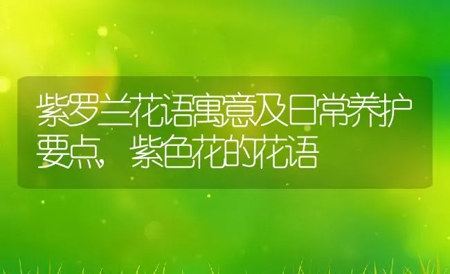 紫罗兰花语寓意及日常养护要点,紫色花的花语 | 养殖学堂