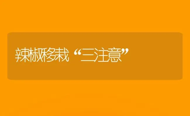 辣椒移栽“三注意” | 养殖技术大全