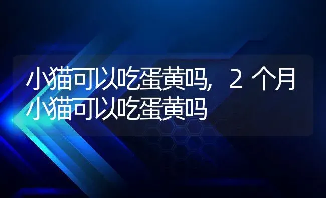 小猫可以吃蛋黄吗,2个月小猫可以吃蛋黄吗 | 养殖科普