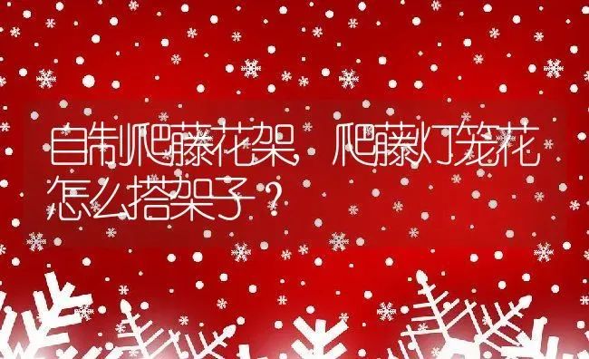 自制爬藤花架,爬藤灯笼花怎么搭架子？ | 养殖科普