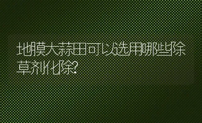 地膜大蒜田可以选用哪些除草剂化除? | 养殖技术大全