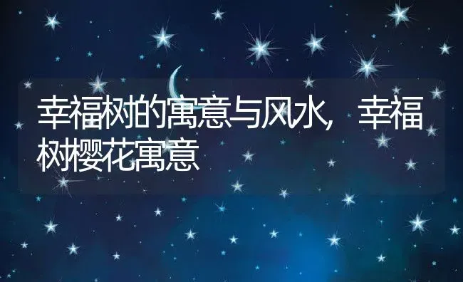 幸福树的寓意与风水,幸福树樱花寓意 | 养殖学堂