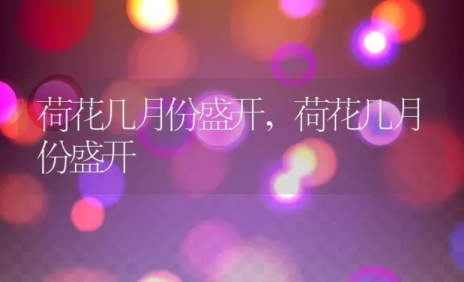 养兔子的笼子,养兔子的笼子图片大全 | 养殖科普