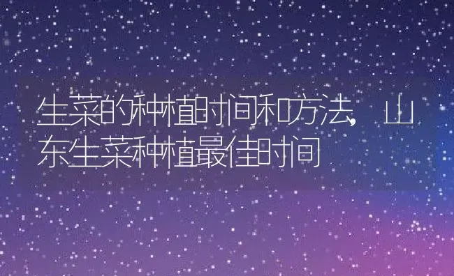 生菜的种植时间和方法,山东生菜种植最佳时间 | 养殖学堂