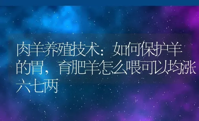 肉羊养殖技术:如何保护羊的胃,育肥羊怎么喂可以均涨六七两 | 养殖学堂