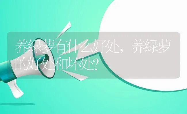 养绿萝有什么好处,养绿萝的好处和坏处？ | 养殖学堂