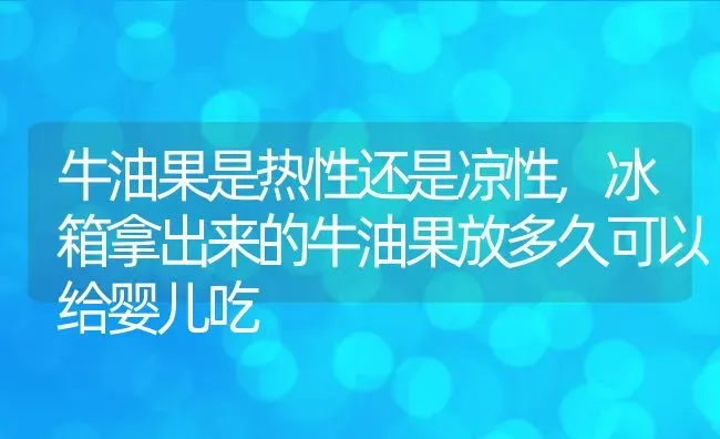 牛油果是热性还是凉性,冰箱拿出来的牛油果放多久可以给婴儿吃 | 养殖学堂