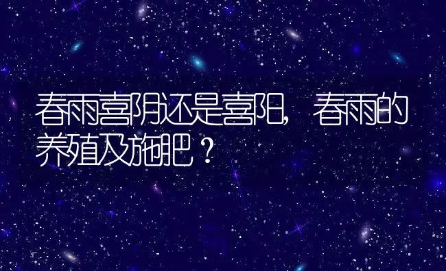 春雨喜阴还是喜阳,春雨的养殖及施肥？ | 养殖科普