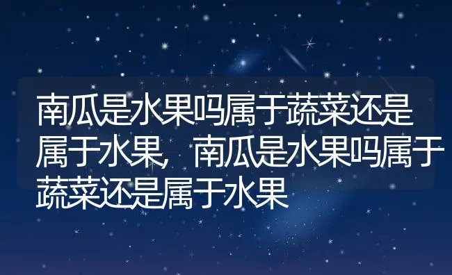 南瓜是水果吗属于蔬菜还是属于水果,南瓜是水果吗属于蔬菜还是属于水果 | 养殖科普