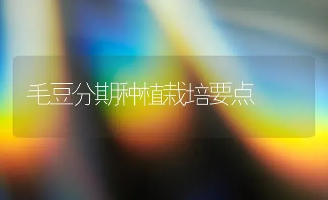 夏季农作物如何防热害 | 养殖技术大全