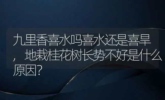 九里香喜水吗喜水还是喜旱,地栽桂花树长势不好是什么原因？ | 养殖科普