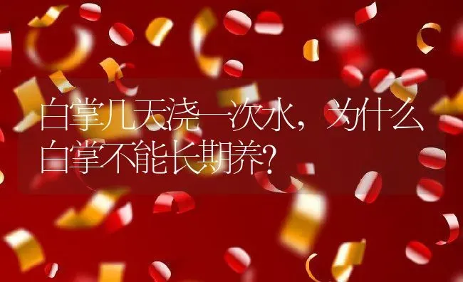 白掌几天浇一次水,为什么白掌不能长期养？ | 养殖科普