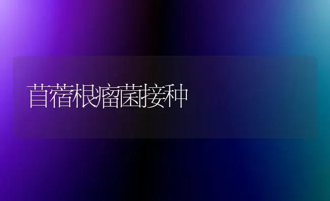 苜蓿根瘤菌接种 | 养殖技术大全