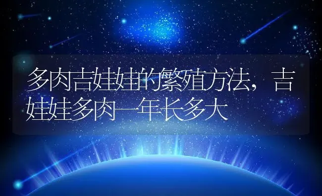 多肉吉娃娃的繁殖方法,吉娃娃多肉一年长多大 | 养殖学堂