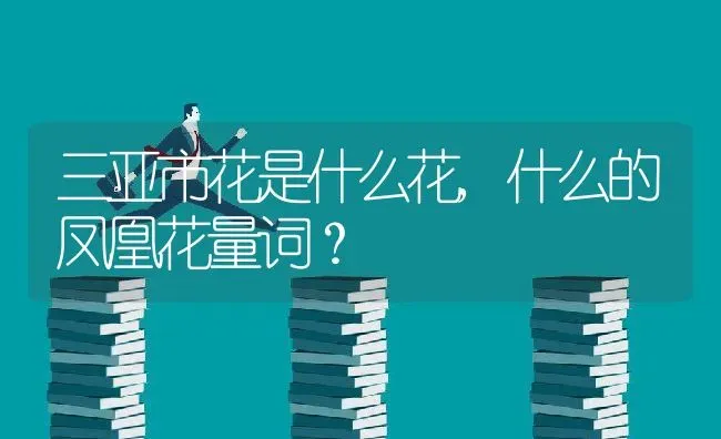 三亚市花是什么花,什么的凤凰花量词？ | 养殖科普