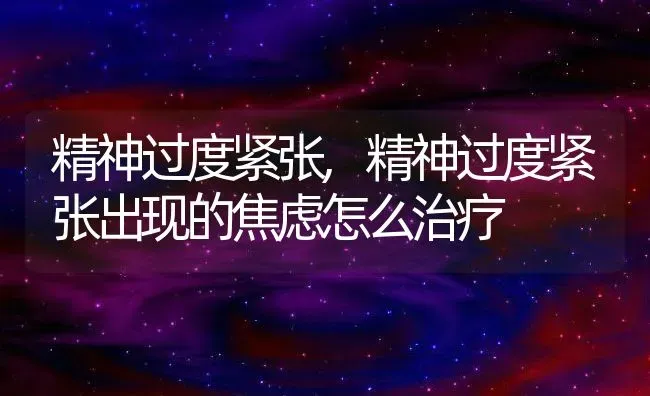 精神过度紧张,精神过度紧张出现的焦虑怎么治疗 | 养殖科普