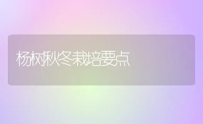 杨树秋冬栽培要点 | 养殖知识